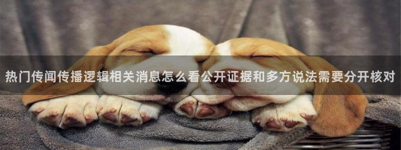 91 吃瓜