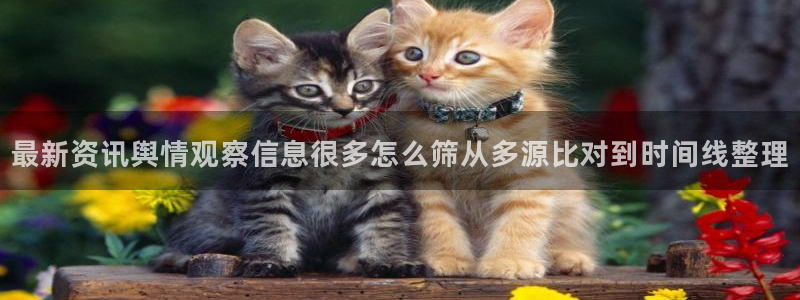 51吃瓜网轻量版:最新资讯舆情观察信息很多怎么筛从多源比对到时间线整理